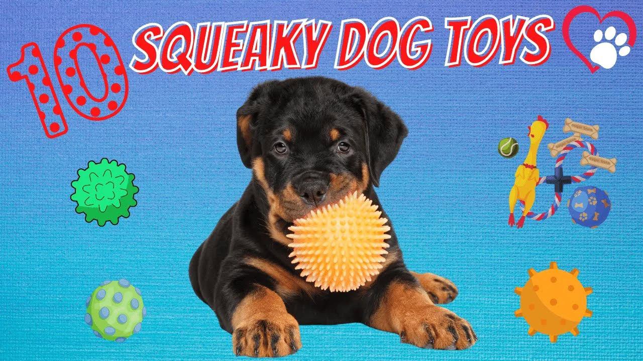 рџђ рџ ґ Squeaky Dog Toy 10 Squeaky Dog Toy Sounds To Attract Dogs Hq