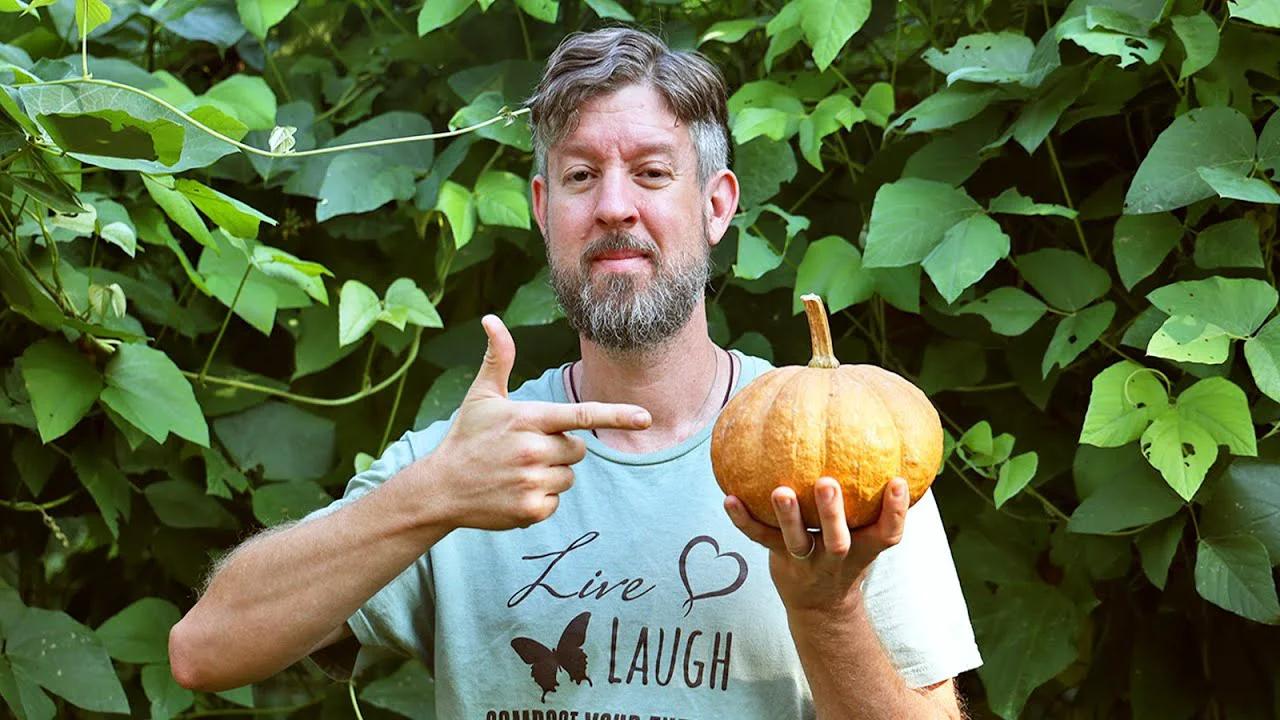 The 2 Ways We Defeat Squash Pests (Vine borers and Pickle Worms!)