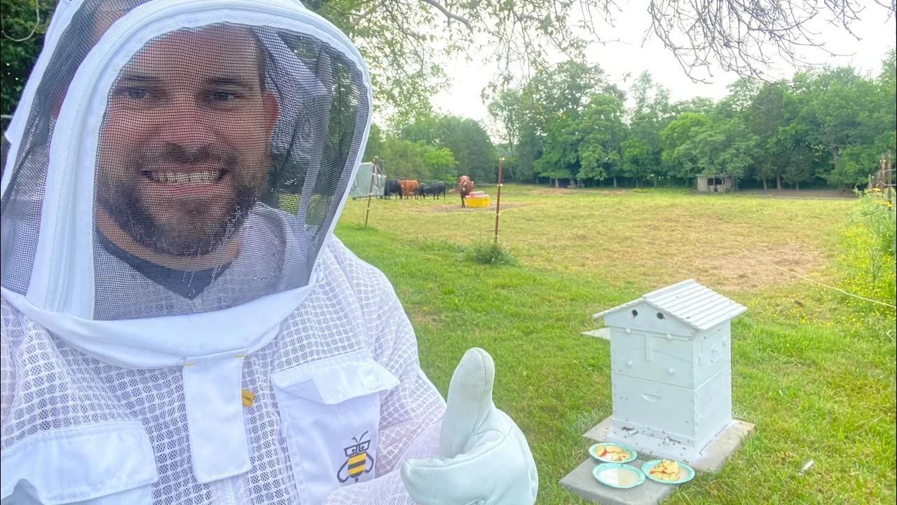 My First Honey рџќї Bee рџђќ Hive Setup From Start To Finish