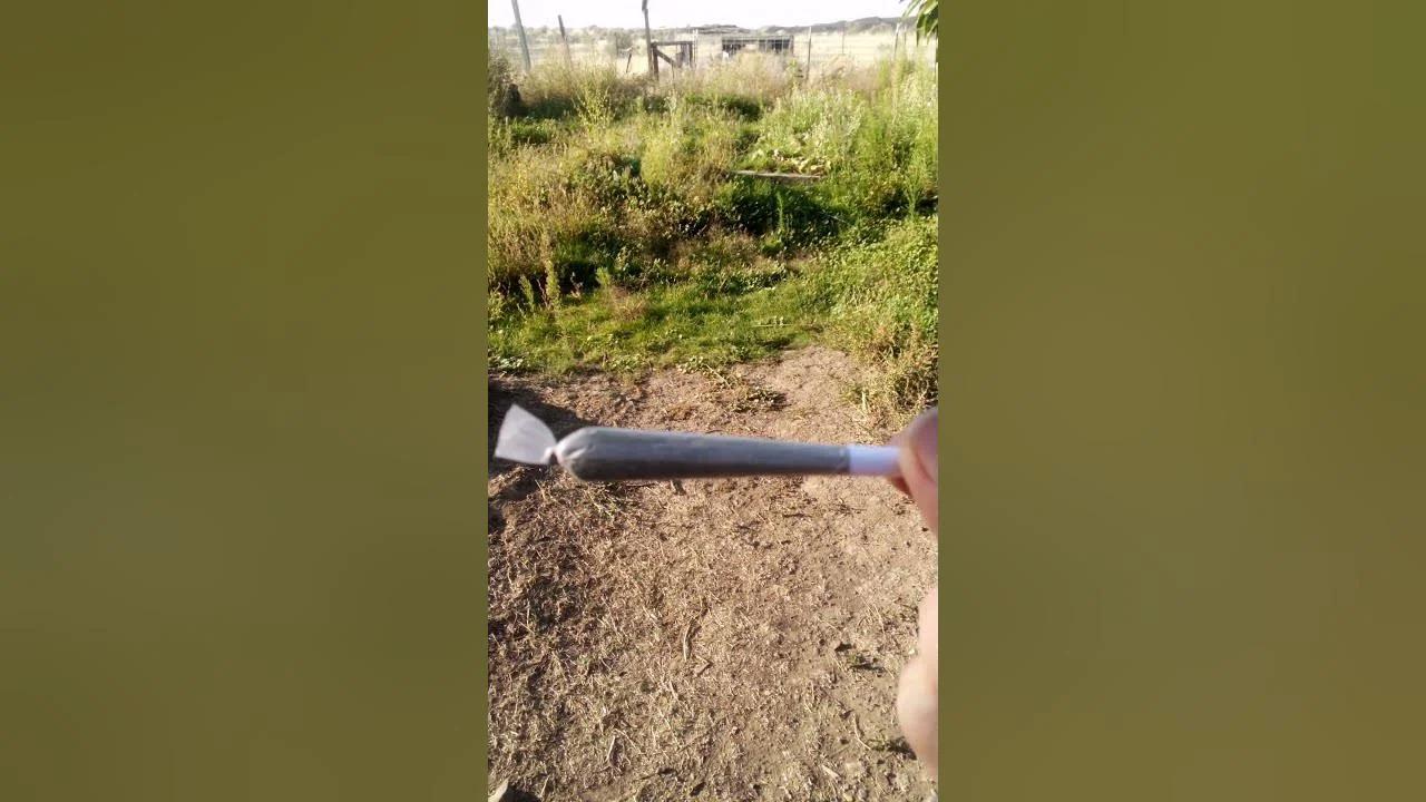 Grateful GAW .. day 264 rules are in the description #GAW #silvergaw # ...