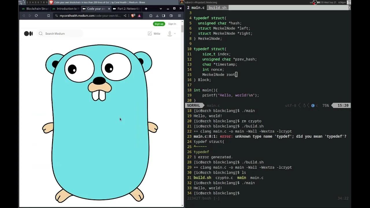 Building A Blockchain In C From Scratch Creating A Blockchain