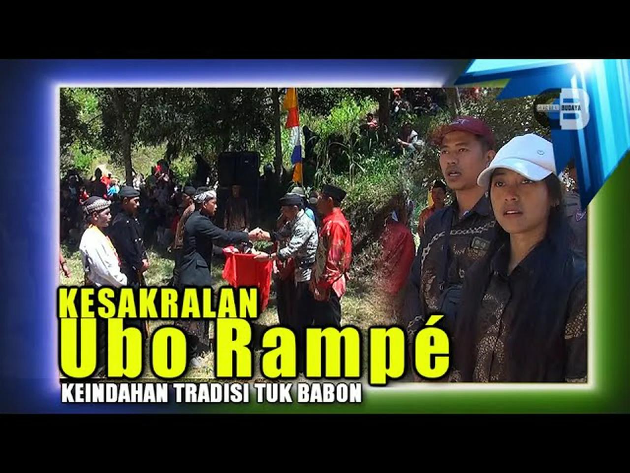 PASRAH TINAMPI: Ubo Rampé dalam Tradisi Tuk Babon Selo