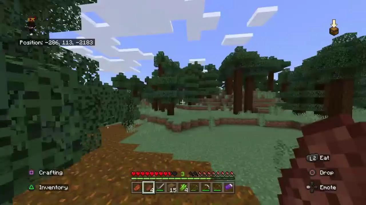 Minecraft Stream