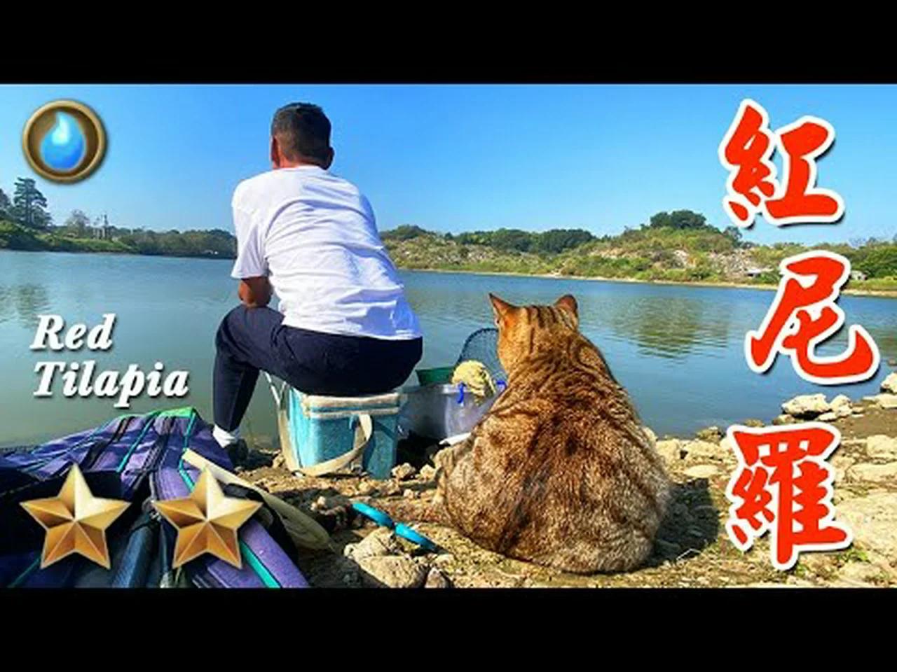 野味62集 | 紅尼羅 | 蔥燒 醬筍 | Red Tilapia | 萍哥Pinger