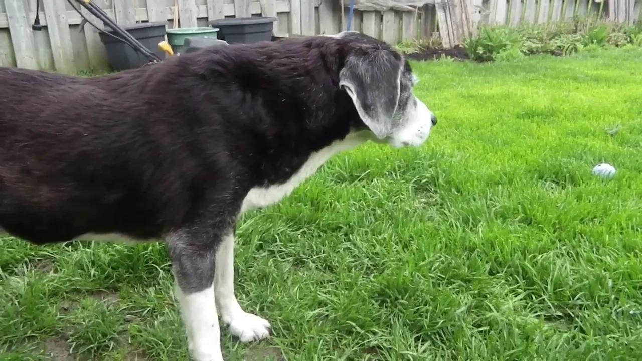 LUKE SCOTT IS A VERY GOOD BOY(02)