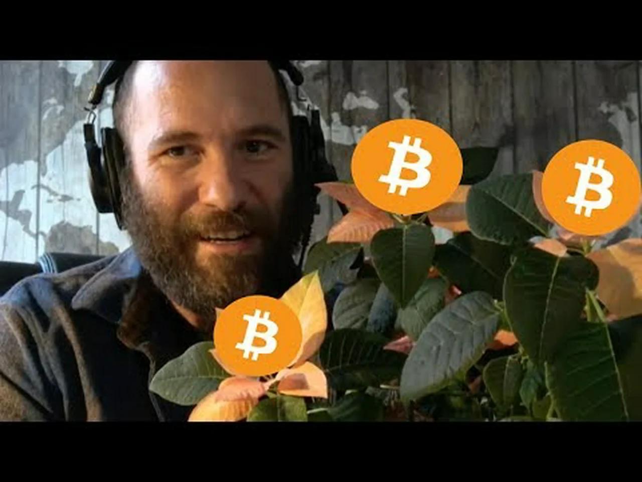 what-is-a-bitcoin-worth