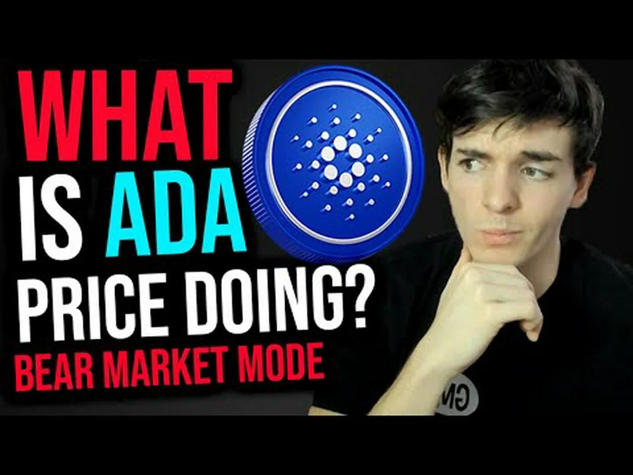Cardano ADA Price Go Up Price Go Down Bear Market 