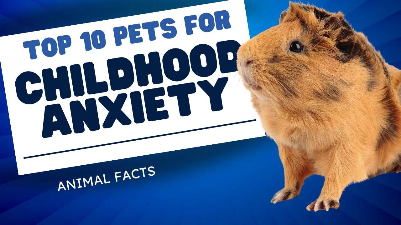 Top 10 Best Pets for Children with Anxiety