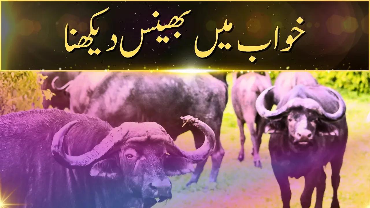 Khwab Mein Bhens Dekhna | Khwabon Ki Tabeerein