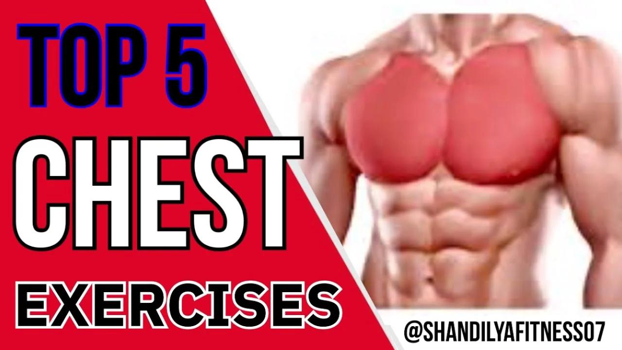 Top 5 Chest Workout for Beginners & Intermediate | Top Chest Exercise ...