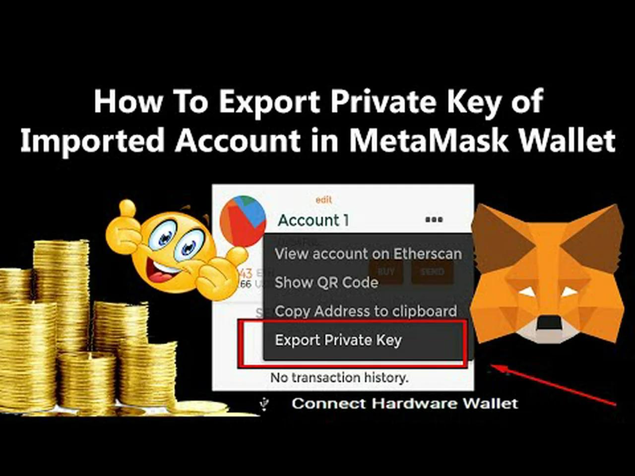 How To Export Private Key of Imported Account in MetaMask Wallet ...