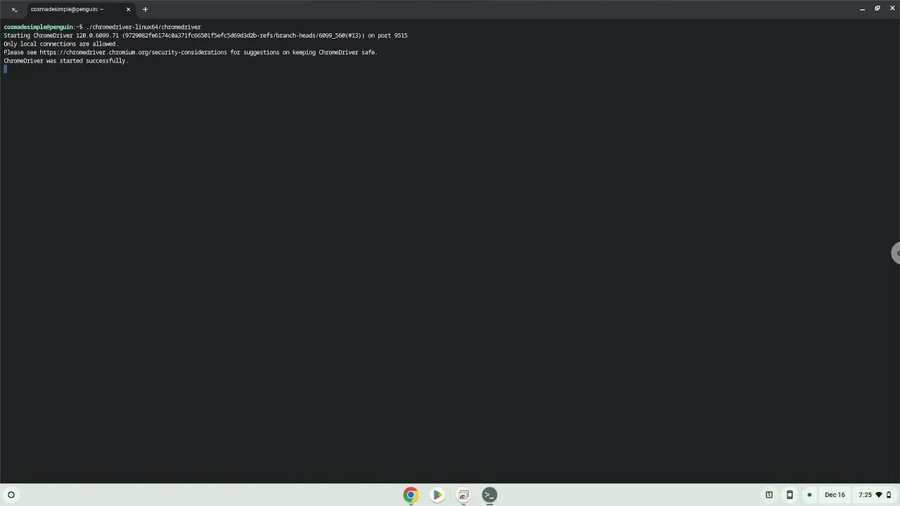 How to install the google chrome driver on a chromebook
