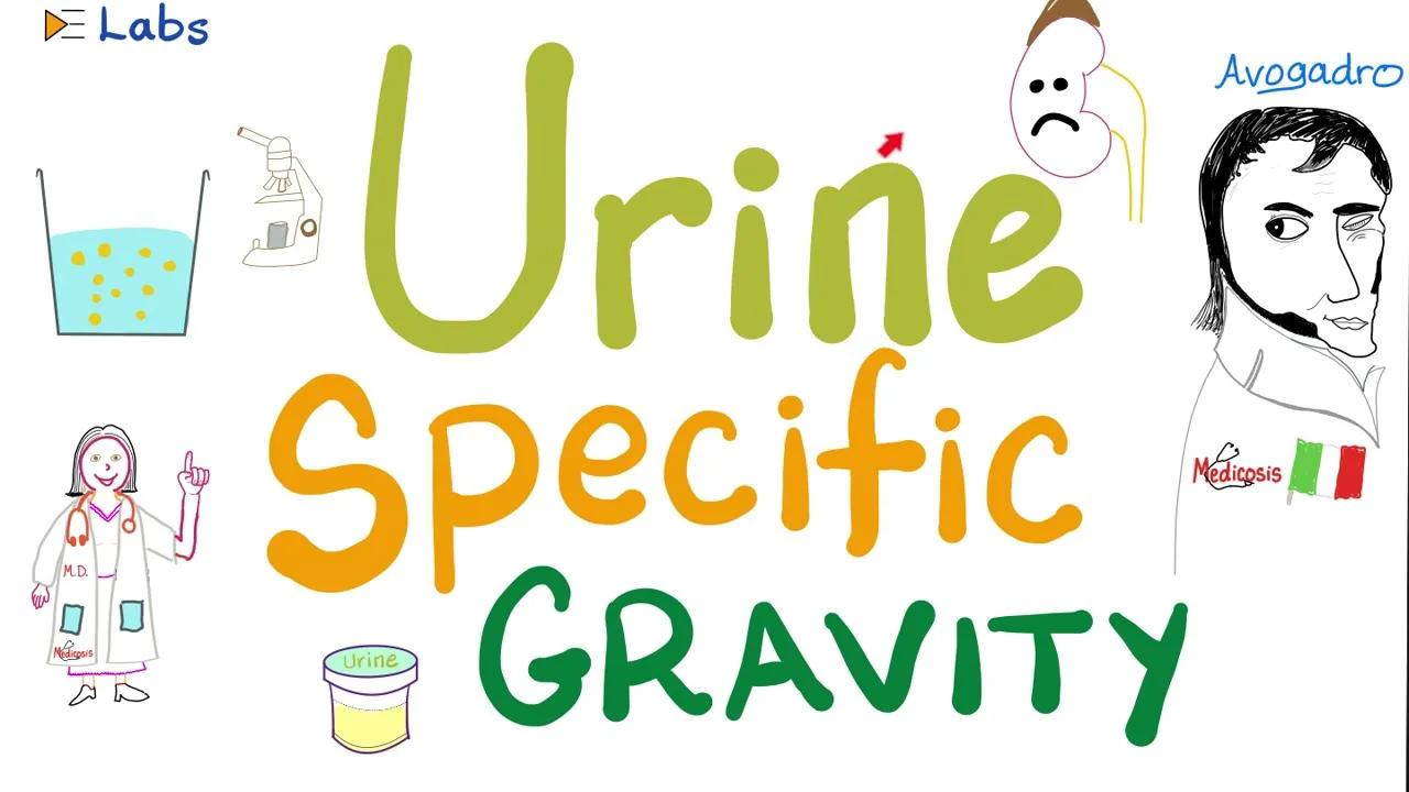 Urine specific gravity - Density - Concentrated vs Diluted Urine ...