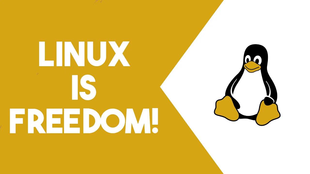 Is Linux Too Open?