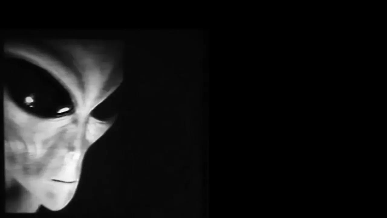 The various kinds of aliens as described by UFO abductees and eyewitnesses