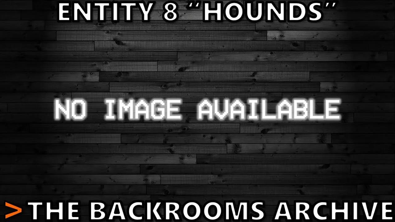 Entity 8 
