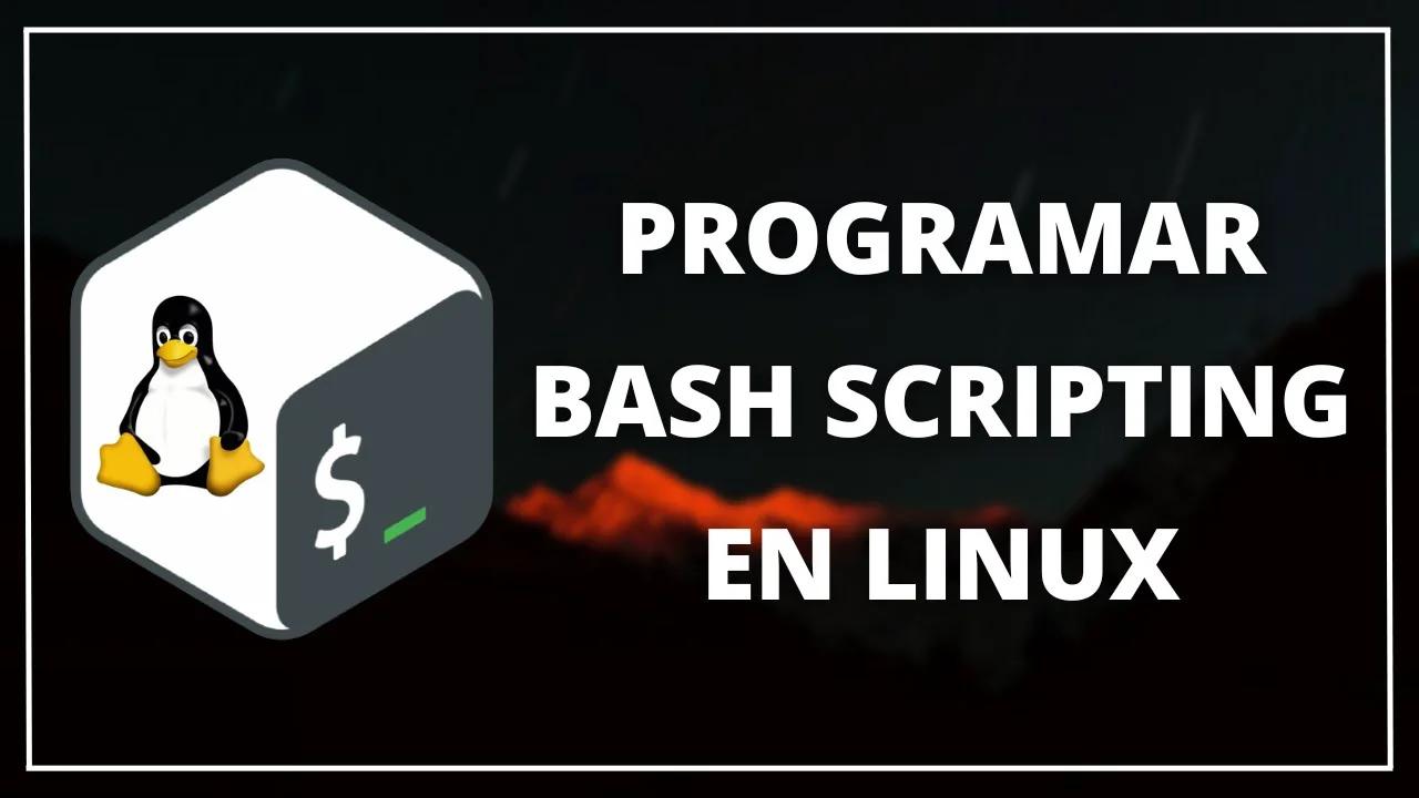 👉 Cómo Programar en BASH | Crear un Script para Detectar el Sistema ...