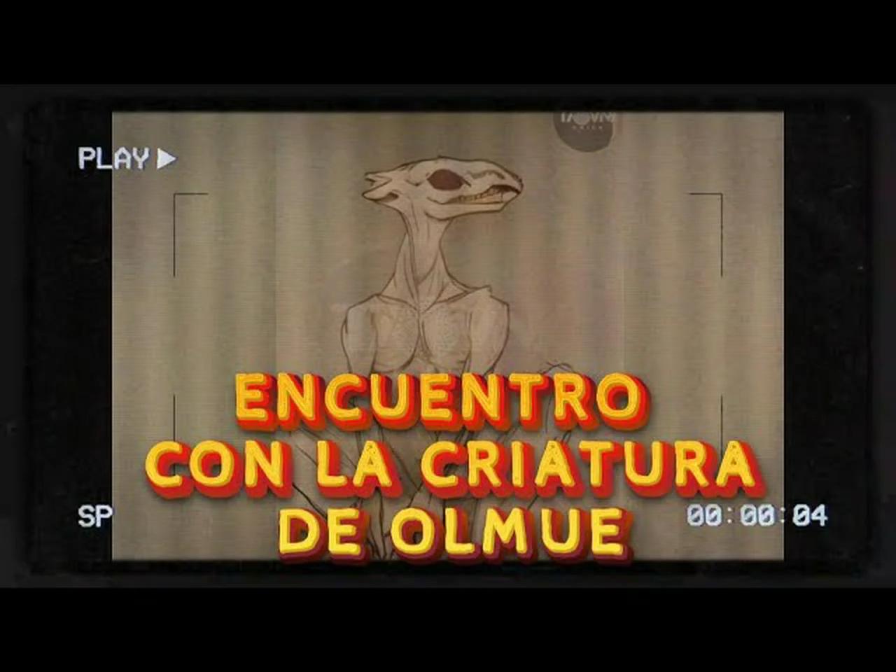 El Enigma De La Criatura Blanca La Desconcertante Aparición En Olmué