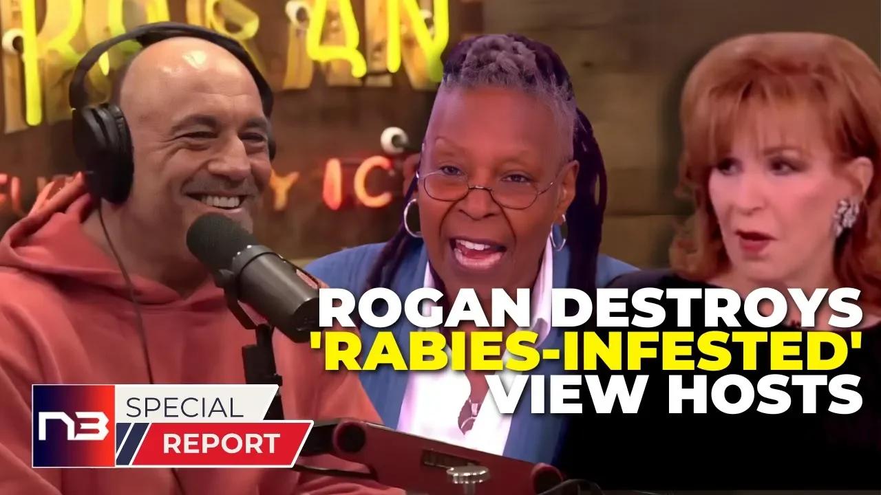 Bombshell Video: Joe Rogan Destroys The View, Calls it 'Rabies-Infested ...