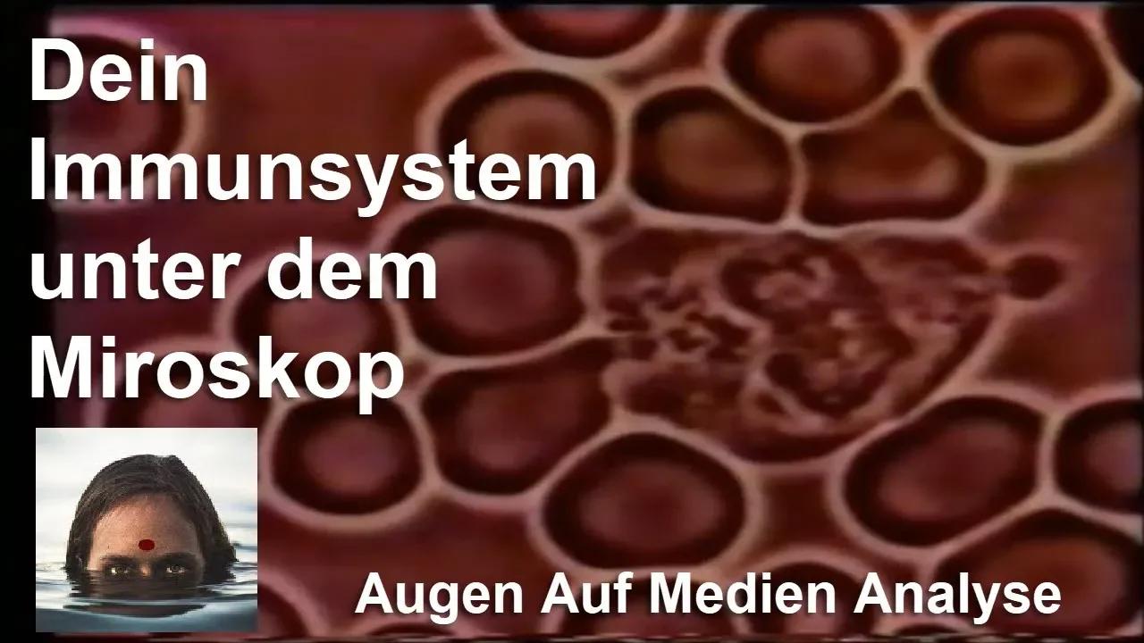 ⁣Dein Immunsystem unter dem Mikroskop