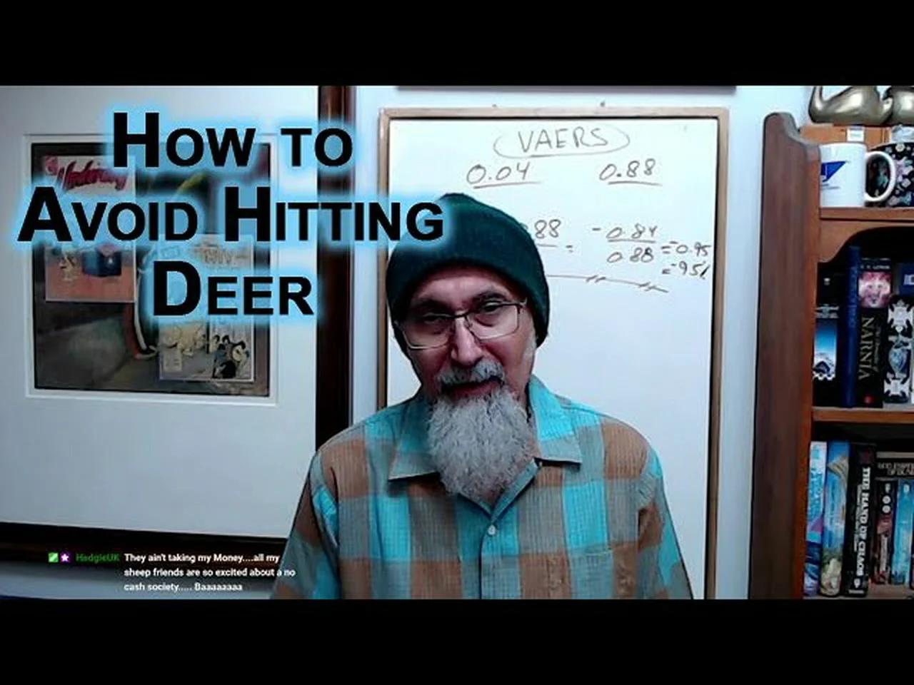 How To Avoid Hitting Deer On The Road, Highway Driving Advice, Be Aware ...