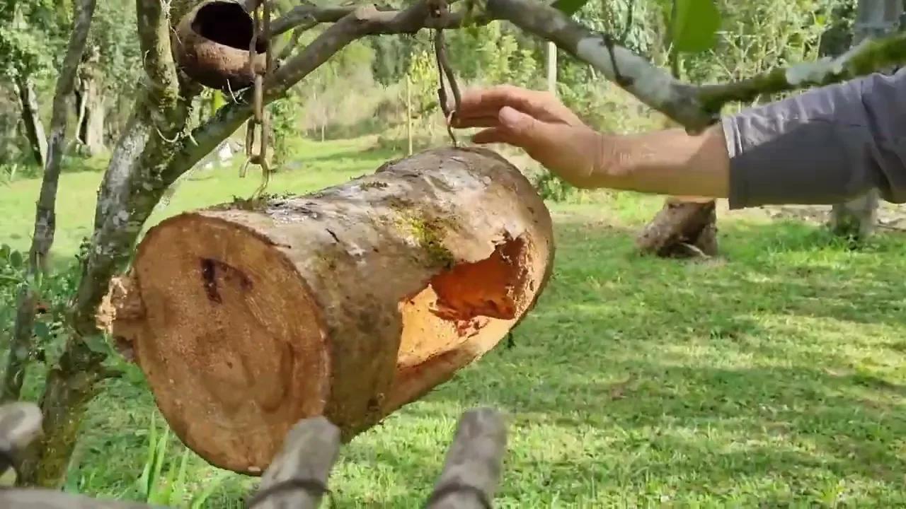 Como Atrair Passaros Na Varanda