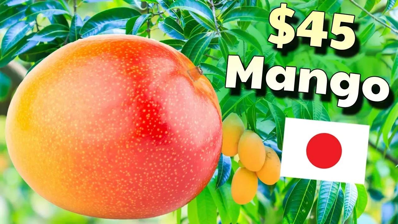 What Does a $45 Japanese Mango Taste Like?