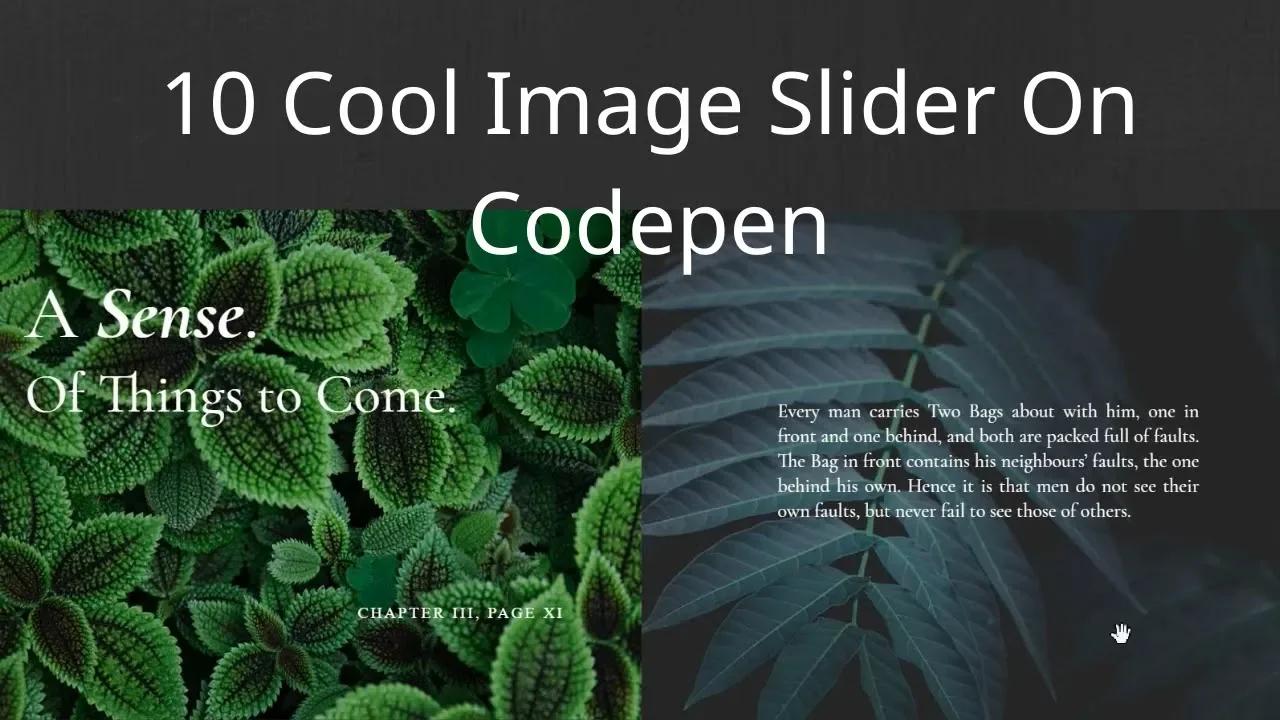 10 Cool CSS Image Slider You Must See!