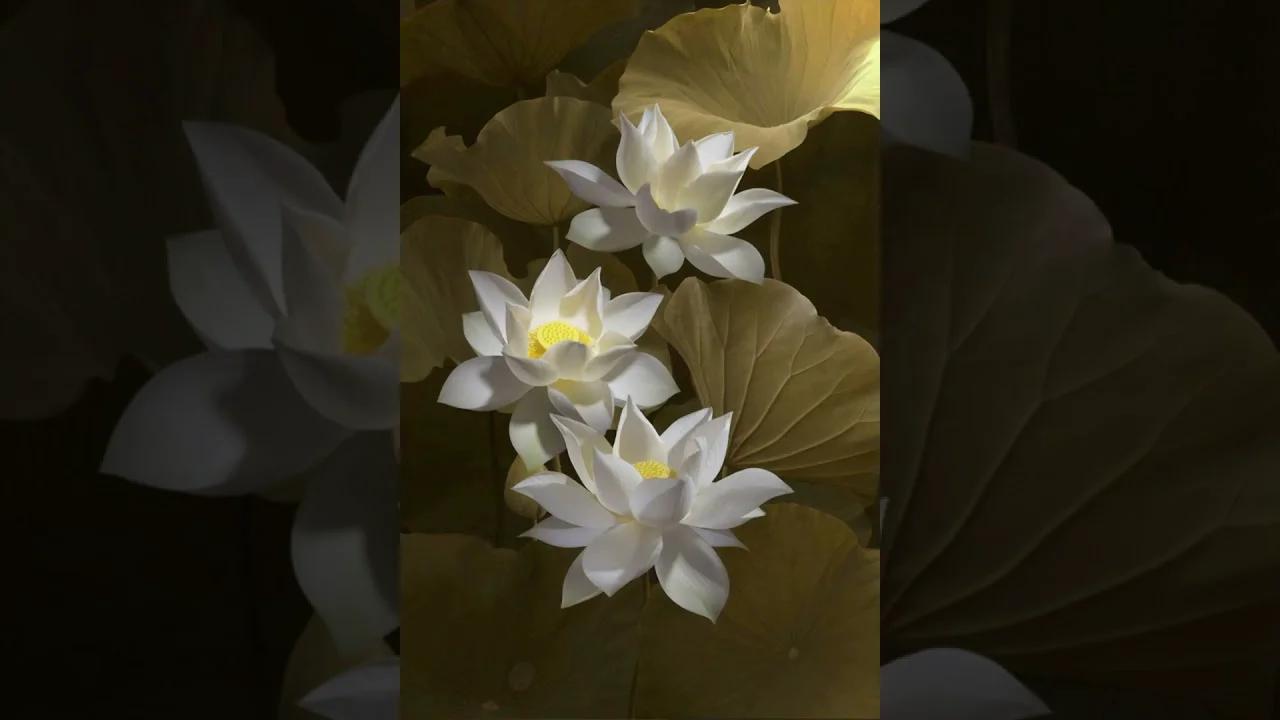 The Four Frames Of Reference Part 4 Mental Qualities