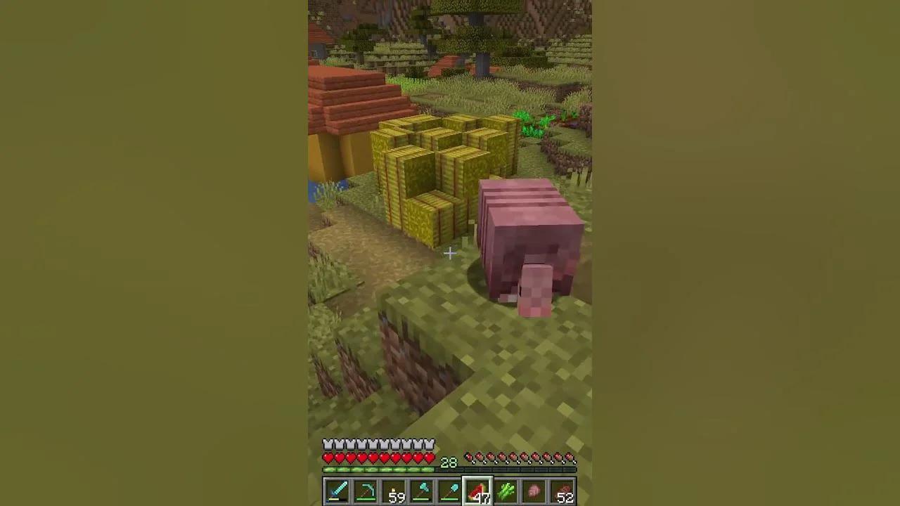 Armadillo Farm in Minecraft 1.21