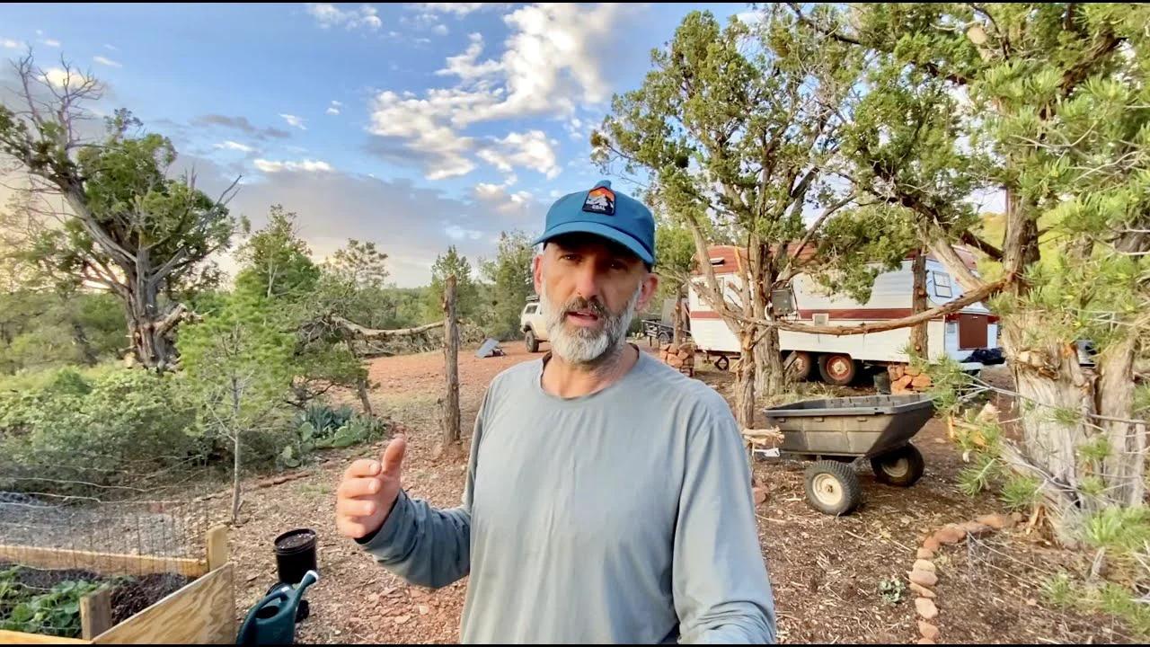 Homestead Progress The Machine You Need To Clear Land Food