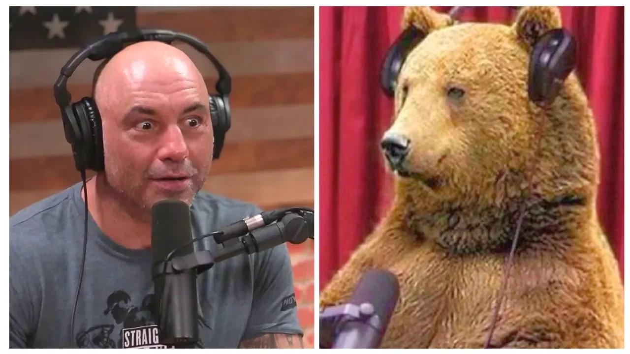 The Most Brutal Bear Attack Stories In Joe Rogan History