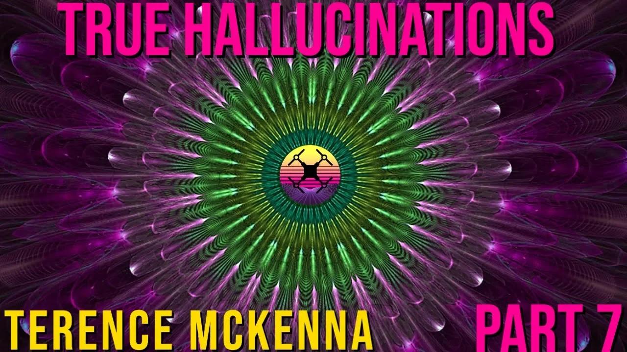 Terence McKenna - True Hallucinations Audiobook - Part 7 | Mesmerising ...