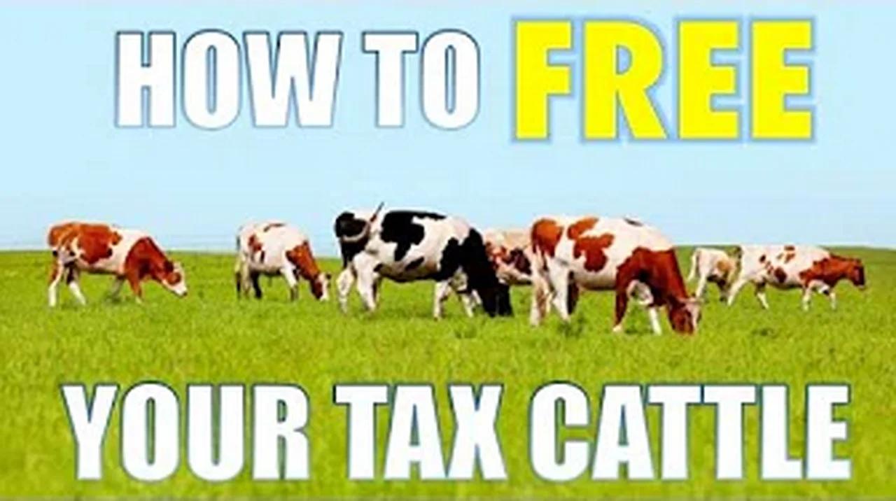 How To Free Your Tax Cattle