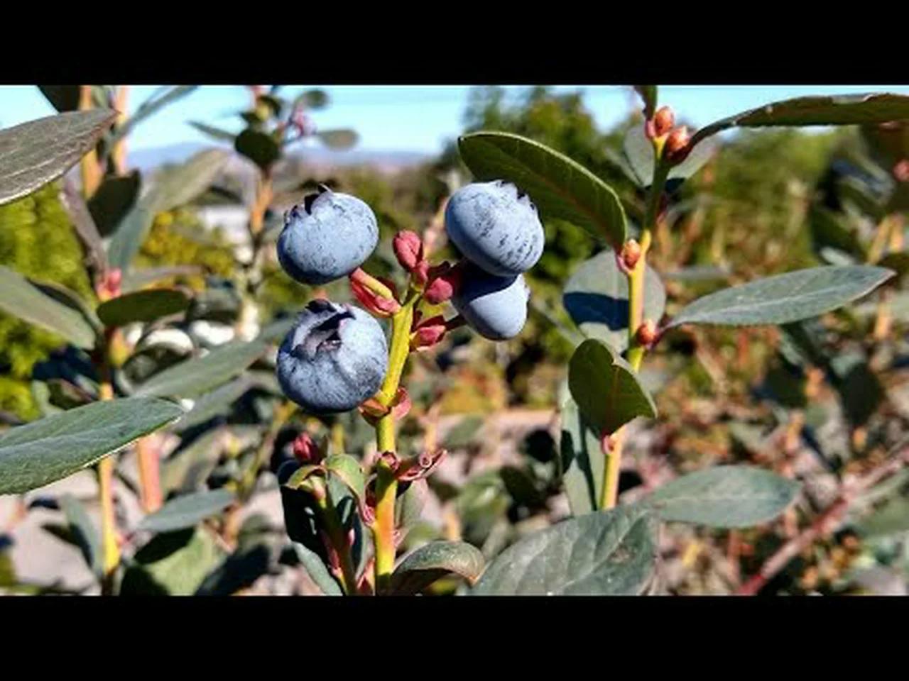 Summit, image size:1280x960