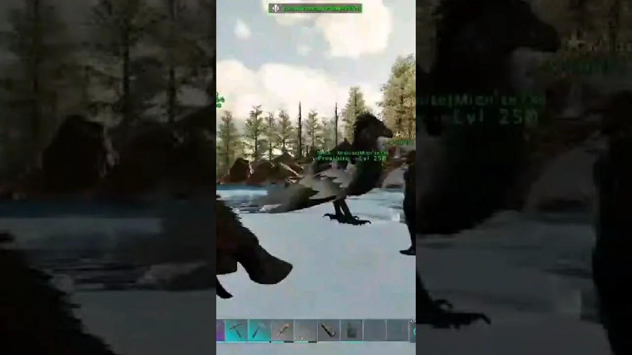 Ark Survival Ascended Beach Bobs Server Highlights 🦕 | # ...