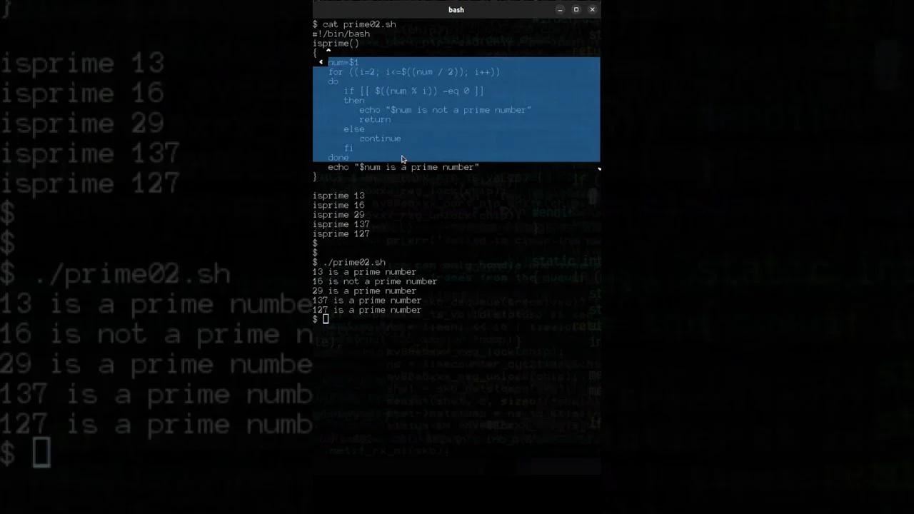 Shorts You Are Using The Shell The Wrong Way Part 1