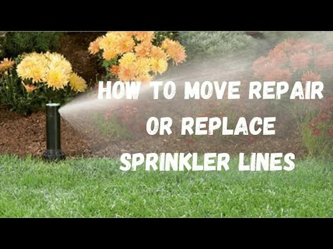DIY || How to Move, Repair, or Replace a Sprinkler Line