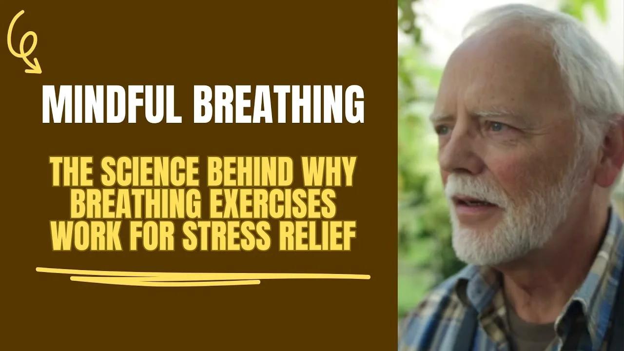 The Science Behind Why Breathing Exercises Work for Stress Relief