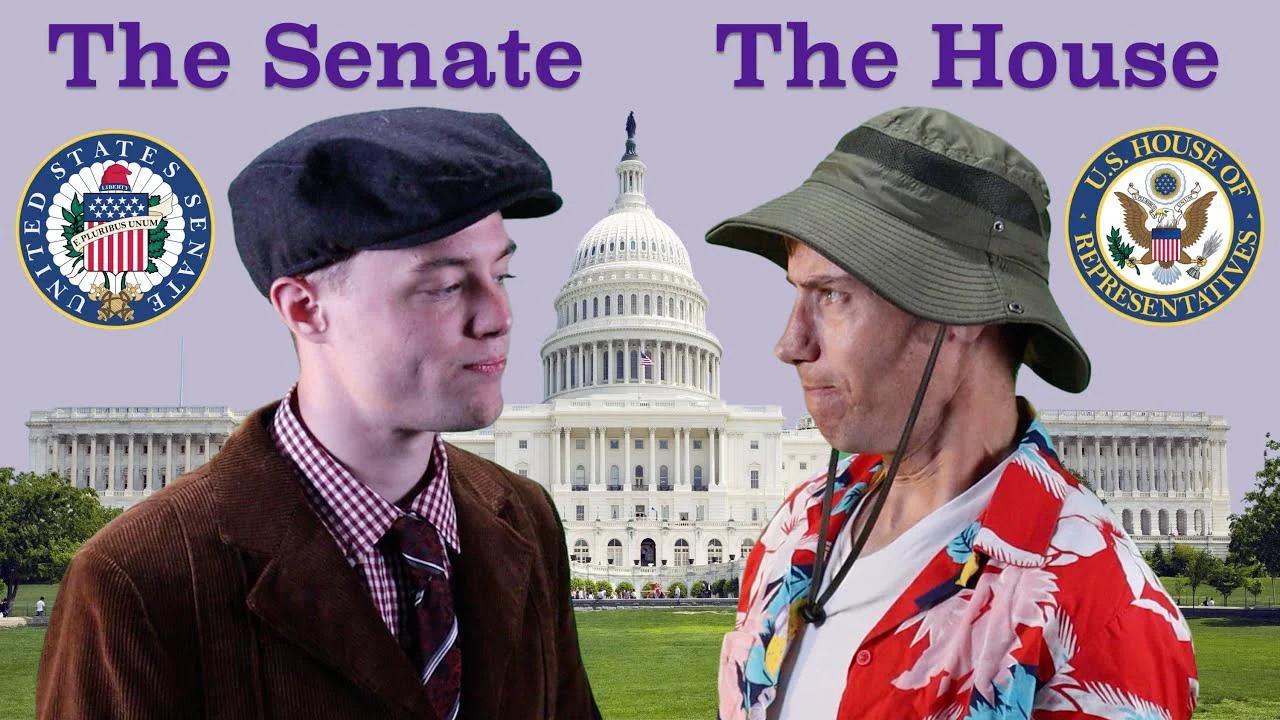 house of representatives vs senate roles