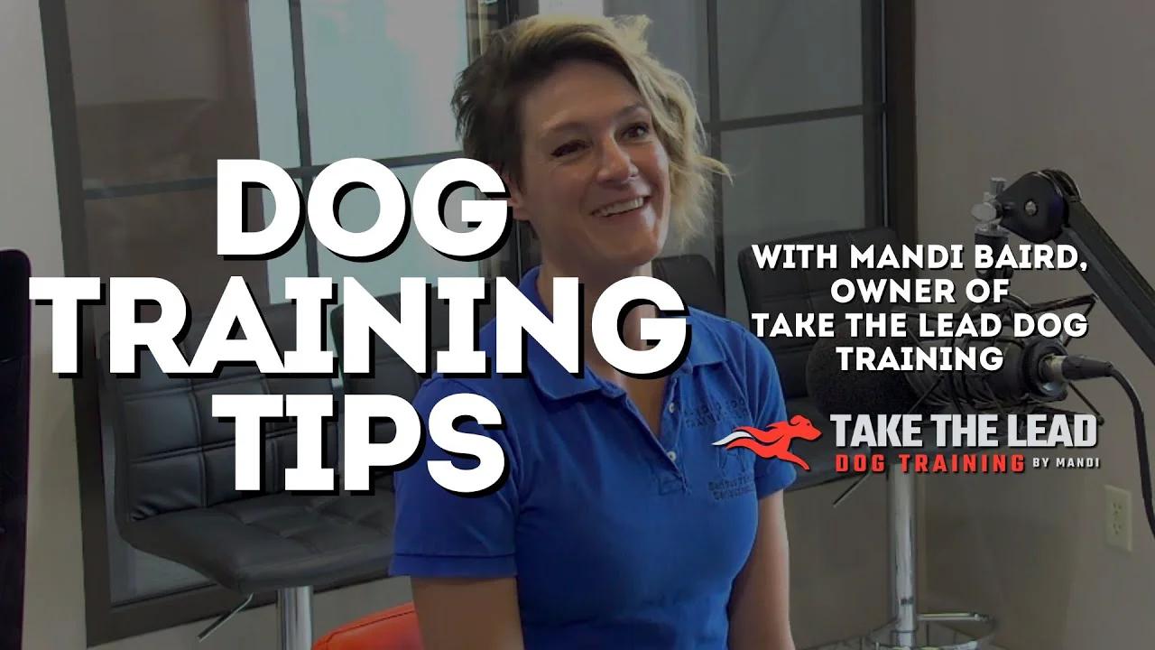 Useful dog training tips with Mandi of Take The Lead Dog Training