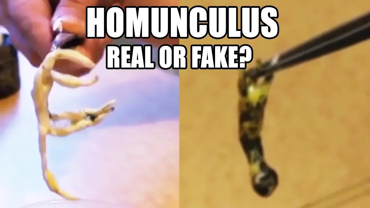 IS THIS A REAL LIFE SCARY EXPERIMENT?! The Homunculus Tutorial ...