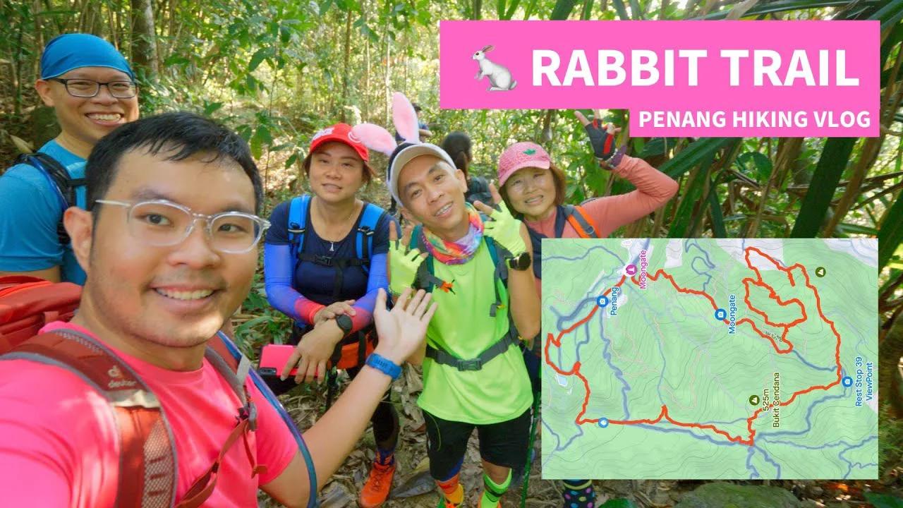 Rabbit Trail 🐇 Penang Hiking vlog