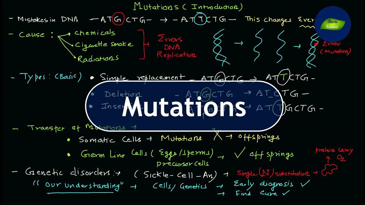 Mutations Introduction Biochemistry Cell Biology Basic Science