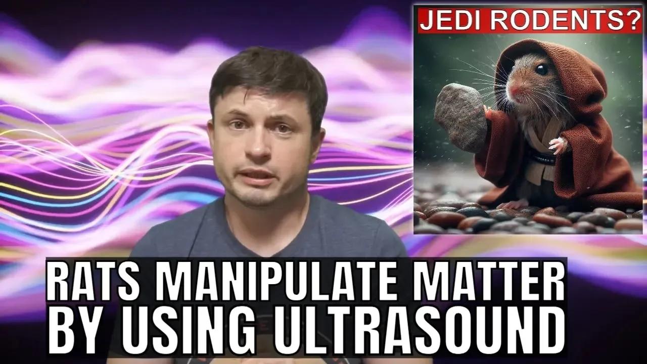 Jedi Rats? Study Suggests Rodents Manipulate Matter Using Ultrasound