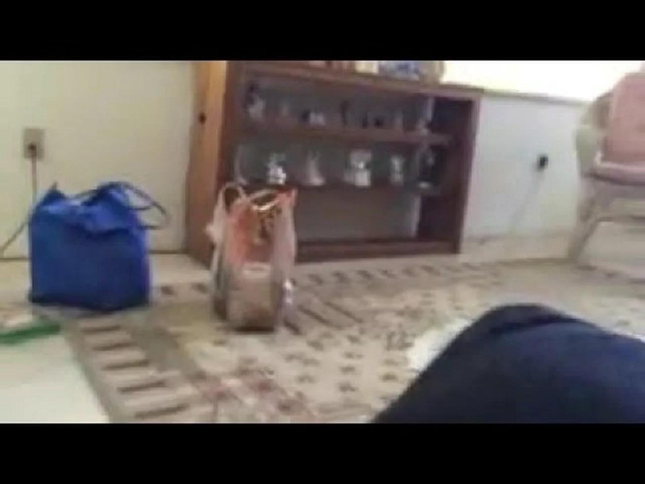 Grandma S House Part 5