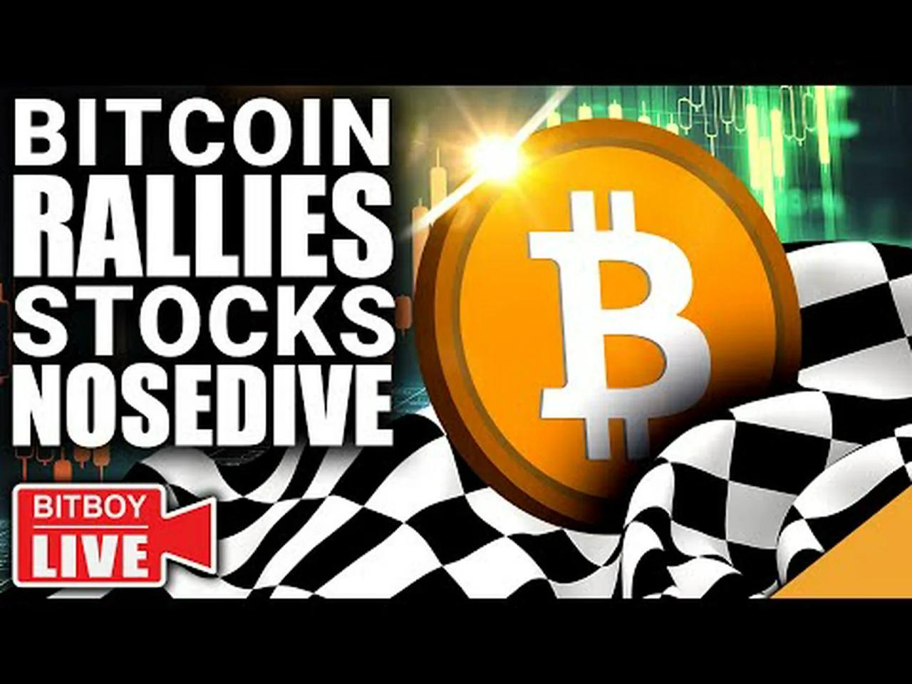 Bitcoin RALLIES As Stocks NOSEDIVE (NEW Dates For XRP)