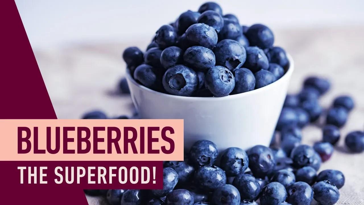 5 reasons why BLUEBERRIES are called SUPERFOOD | Health Benefits of ...