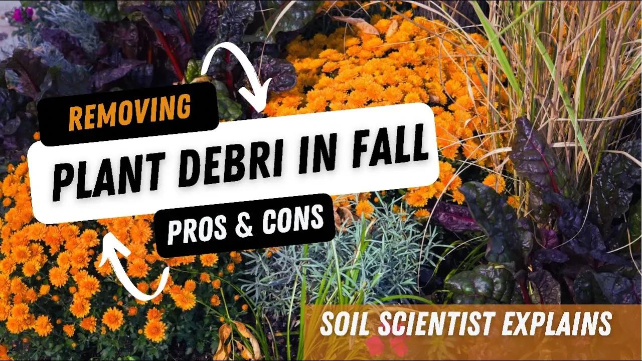 Should You Remove Dead Plant Debri Before It Snows? The Pros & Cons Of