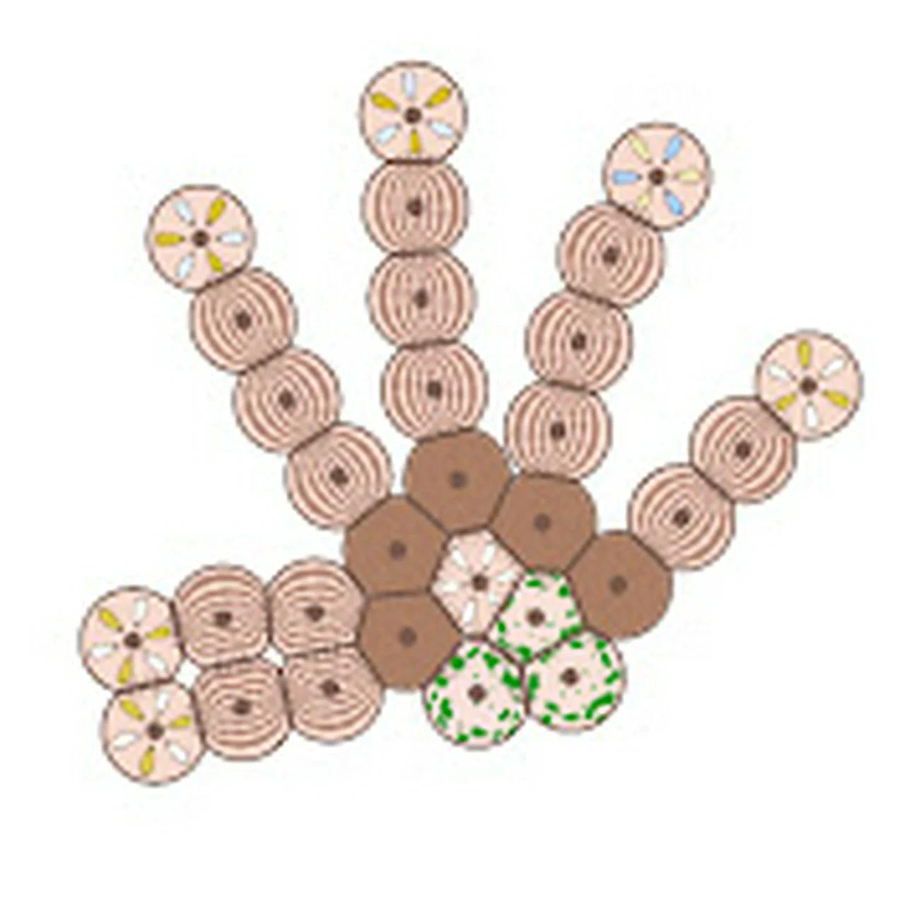 What's up cells?